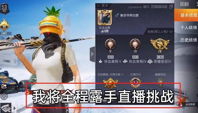 和平精英DDYS辅助